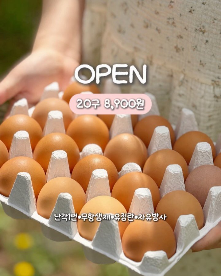 bomjubu_sarlim 게시물 이미지: 잠시 후 11시 8천원대 난각1번 무항생제 유정란 𝒐𝒑𝒆𝒏✨
(다음 공구일은...