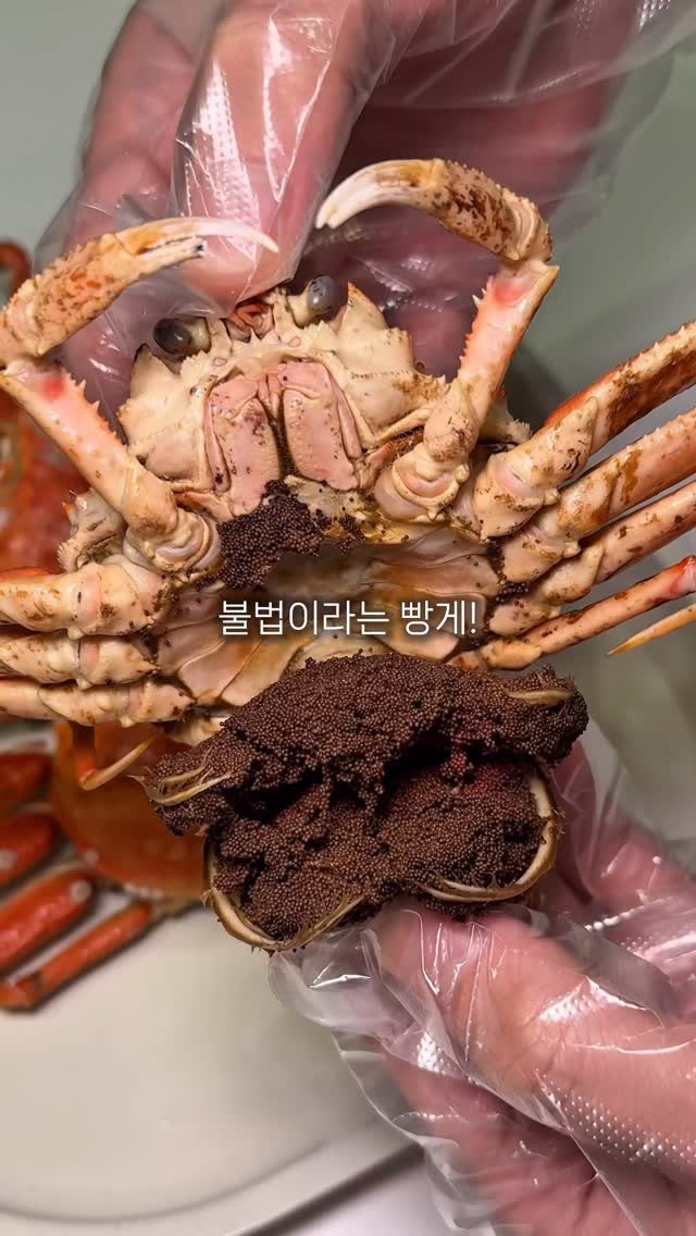 bonge_o0o_food 게시물 이미지: 대체 이 대게가 뭐길래...? 더보기

한국에서는 사진만 찍어도 빵에 간다는
알이...