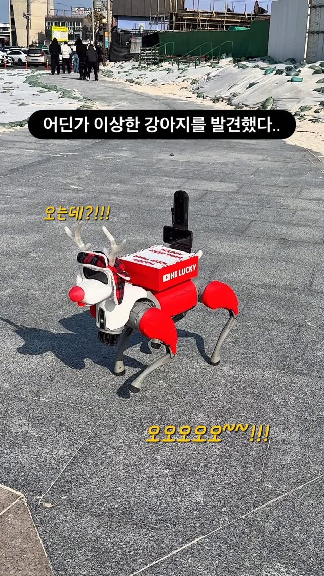 bonge_o0o_food 게시물 이미지: 제주 협재에서 발견한 로봇개!!! 넘나 신기...

누가 뒤에서...