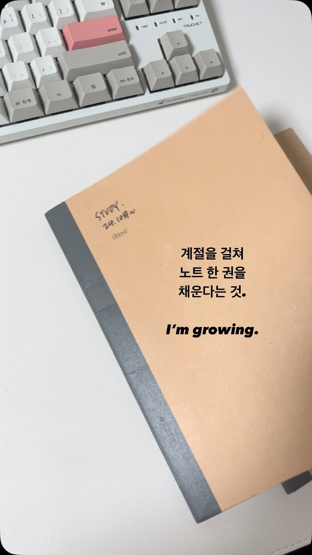 bongnim_1 게시물 이미지: #2월 #작은성취감

작년 가을에 첫 페이지를 시작해,
두 계절을 지나며 한 권을...