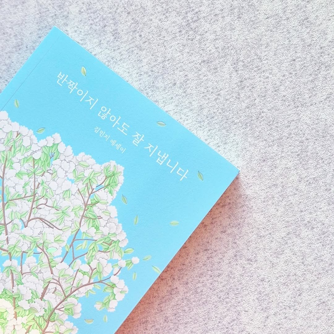 Photo by 구구의 서재 + 북스타그램 + 책소개 on August 04, 2025. May be an image of book, magazine, baby's-breath and text that says '반짝이지 박짝이지 김민지에세이 않아도 잘지냅니다 잘 김민지 알아도 에세이 지냅니다'.