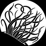 ocd_journal 프로필 사진