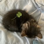 by.yuahn 프로필 사진