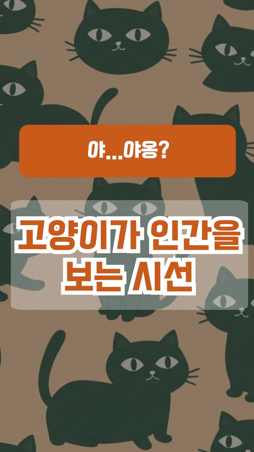 book_eating_table 게시물 이미지: 나쓰메 소세키의 <나는 고양이로소이다>는 이름 없는 고양이의 시선을 빌려 인간...