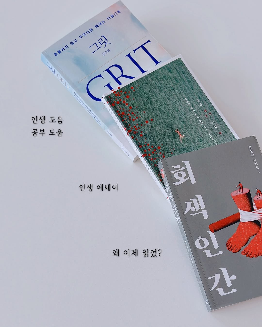 Photo by 지예책장 on September 27, 2025. May be an image of text that says '마음근력 해내는 구엇이든 않고 GRIT 감주한 혼들려지 그릿 ソン GGRIT 영신을 인생도움 인생 도움 공부 공부도움 도움 Pea 토말라게 인생 에세이 왜이제읽었? 왜 이제 읽었? 회 잭 인 간'.