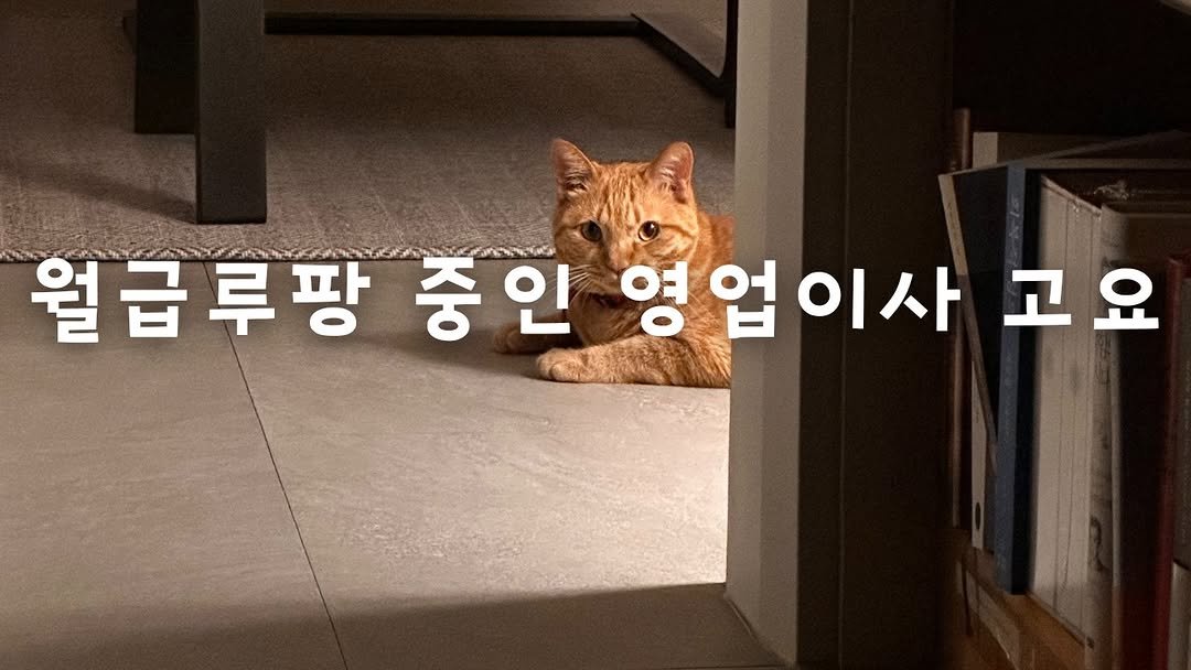 Photo by 책방 시점 on June 25, 2025.