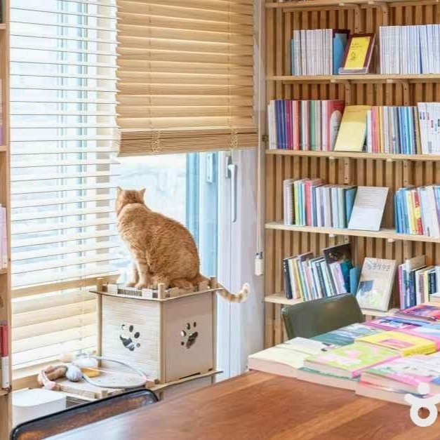 Photo by 책방 시점 on February 06, 2026. May be an image of bureau, curtains, book, shelf, office and text.