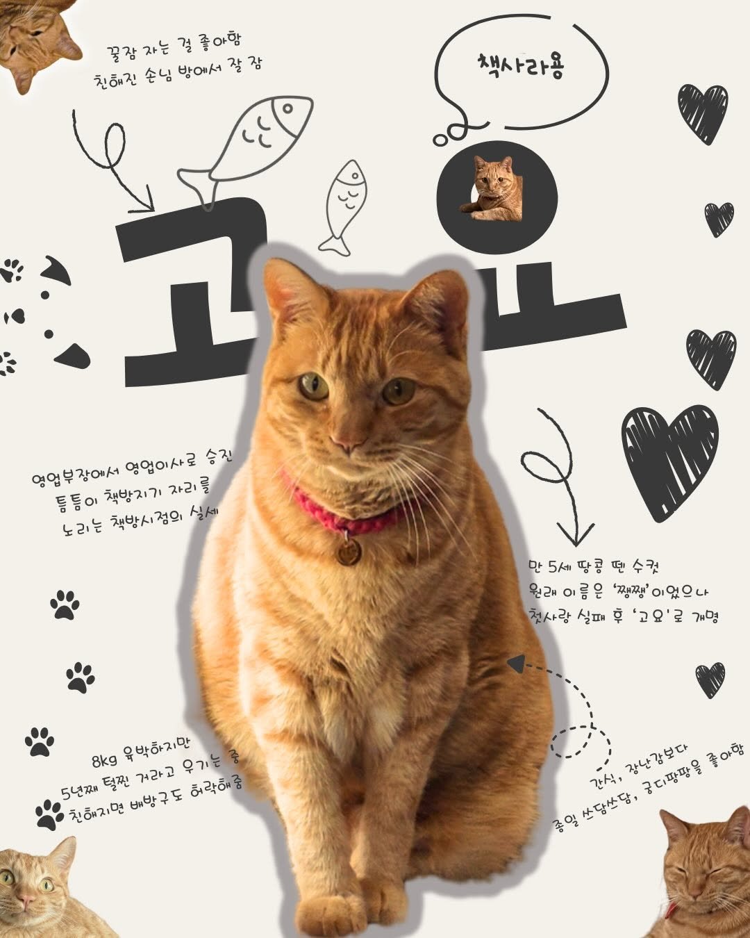 book_seejum 게시물 이미지: 오늘은 책방시점의 비선실세, 영업이사님 고요에 대해 조금 자세히 알아볼까...