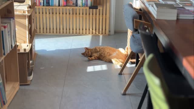 book_seejum 게시물 이미지: 겨울이지만 따순 햇볕과 뜨끈한 바닥 벗삼아 세상 모든 근심과 걱정 다 비운 고요...