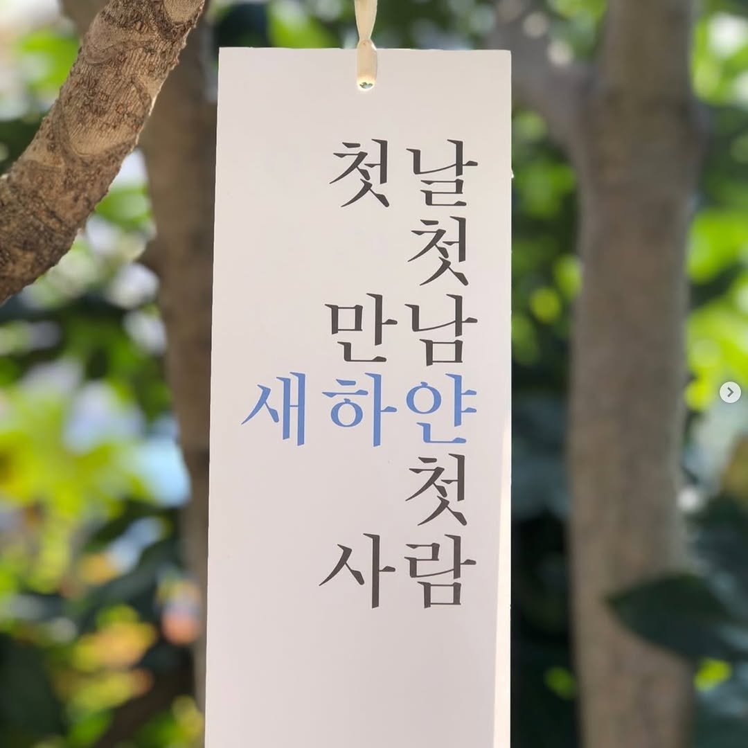 Photo by 책방 시점 on November 07, 2025. May be an image of wind chime, book and text that says '첫날 첫 만남 세하얀 첫 사람'.