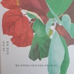jungyeon_lee76 프로필 사진