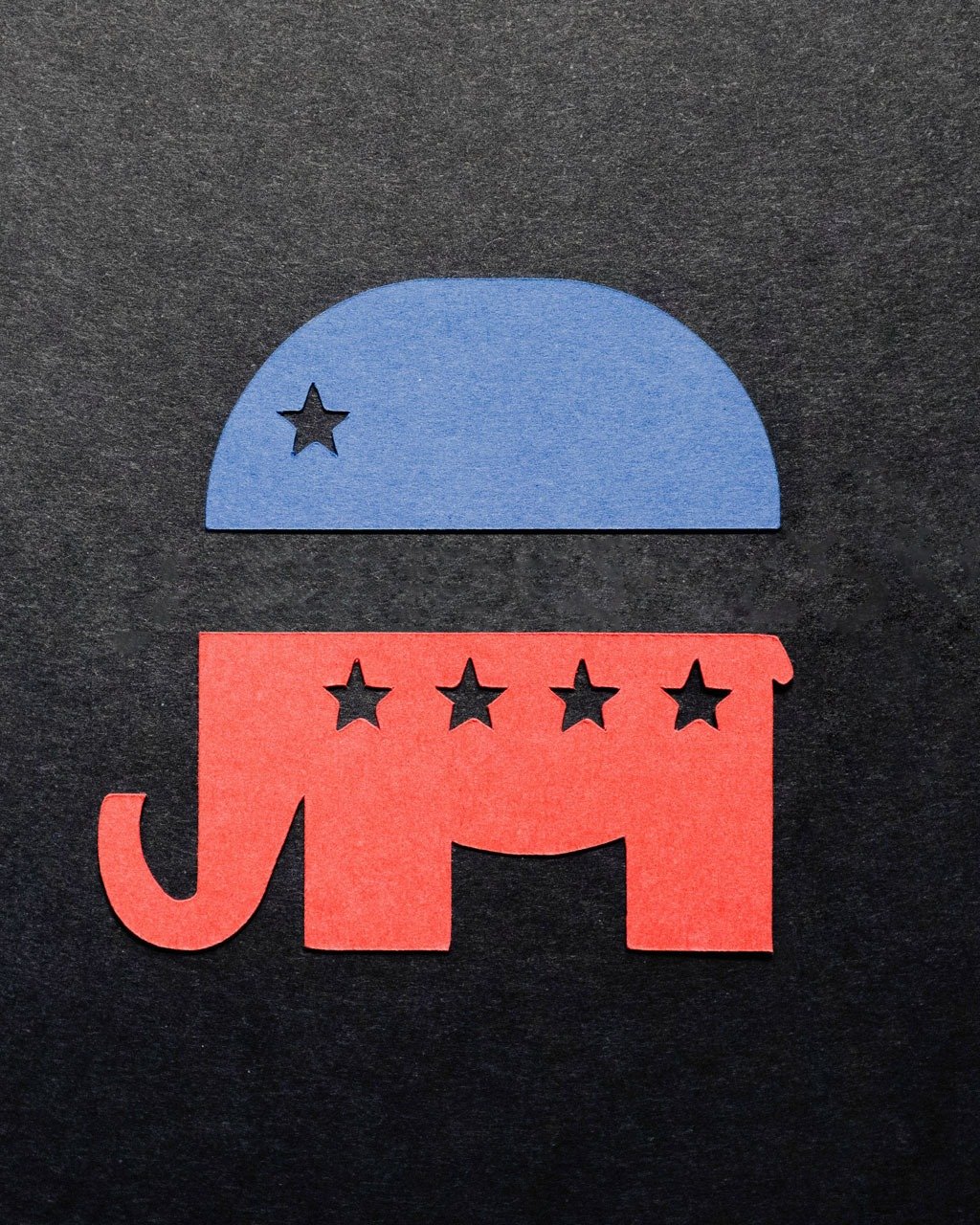 Photo by 북저널리즘 on June 23, 2025. May be an image of elephant and text.