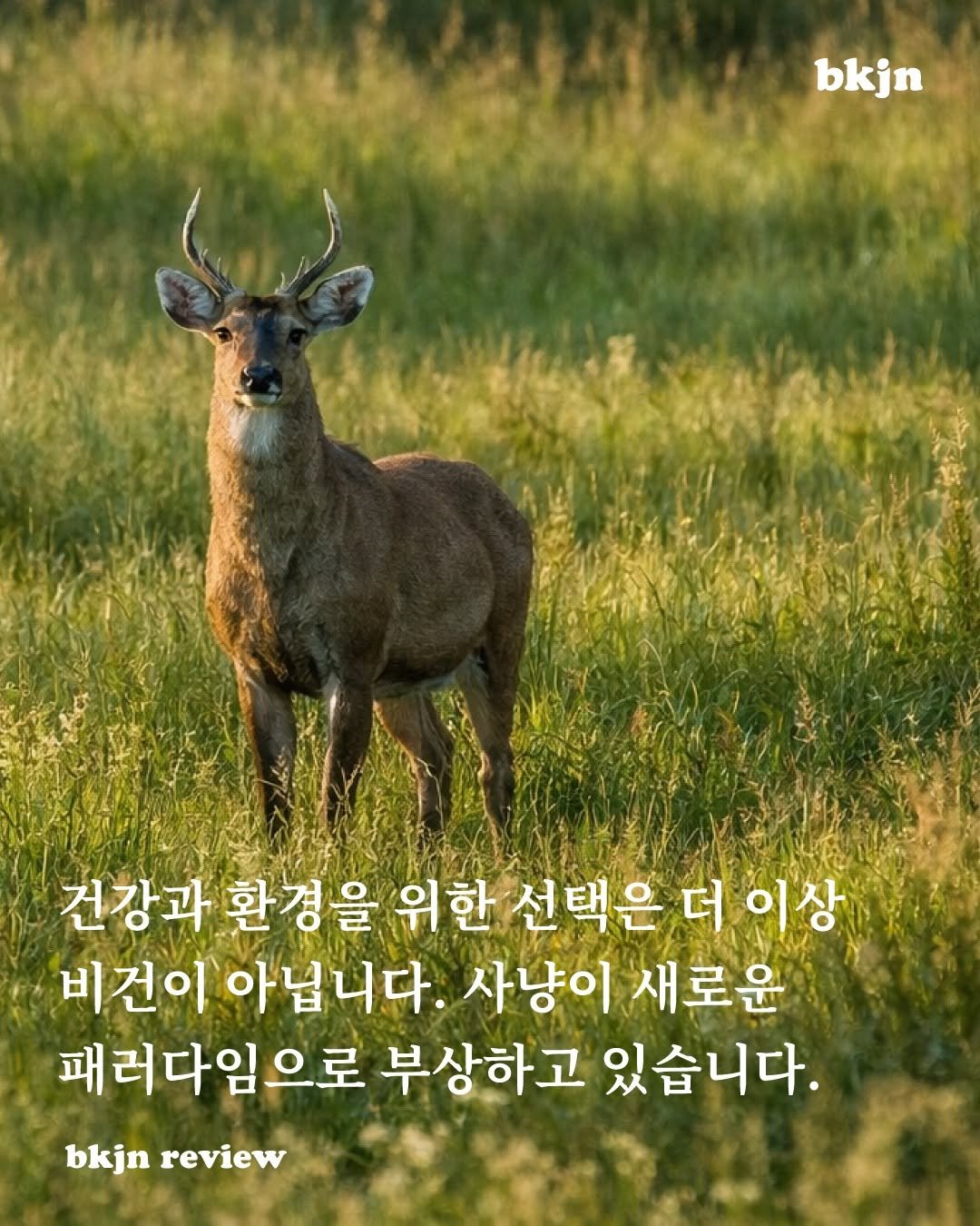 Photo by 북저널리즘 on January 07, 2026. May be an image of deer, outdoors and text that says 'bkjn 건강과 환경을 위한 선택은 더이상 선택은더이상 이상 비건이 아닙니다. 사냥이 새로운 패러다임으로 부상하고 있습니다. bkjn review'.