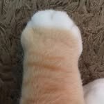 kitty_punch2 프로필 사진