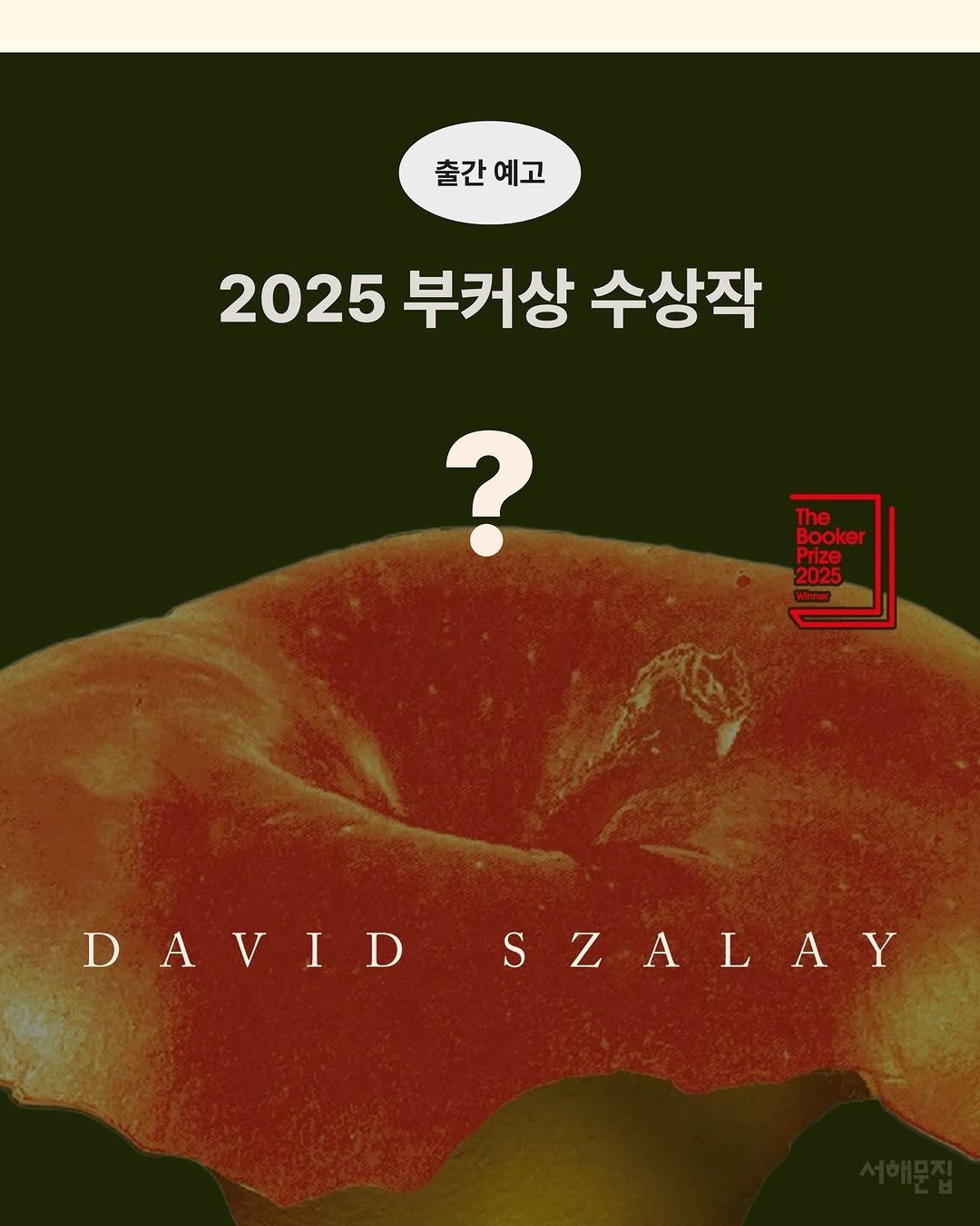 booksea_pub 게시물 이미지: #출간예고이벤트

2024 부커상 수상작
『궤도』에 이어,
 
2025 부커상...