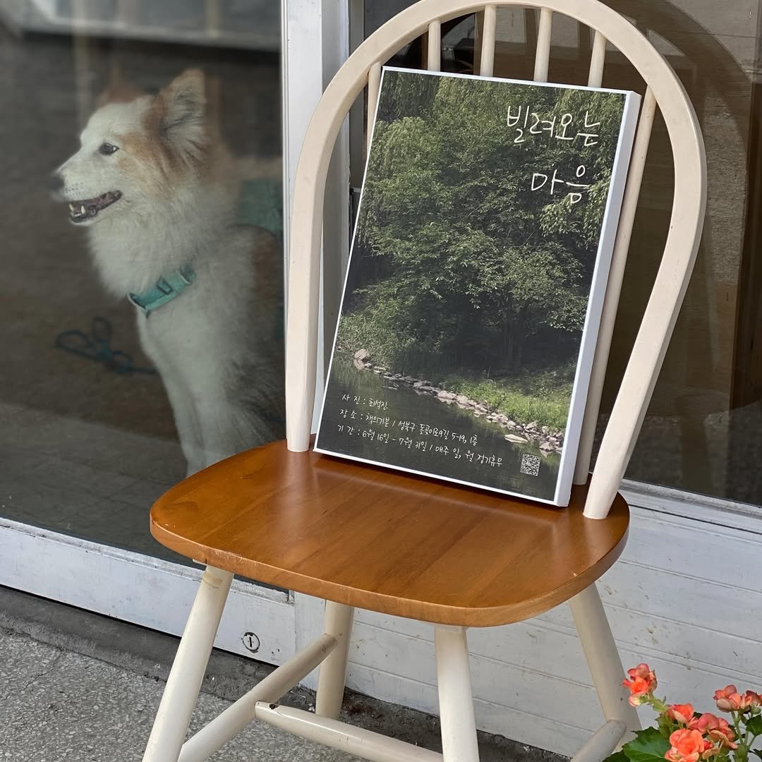 booksmood_ 게시물 이미지: 🌌
오늘부터 7월 말까지 최석진 님의 《빌려오는 마음》 사진전이 열립니다....