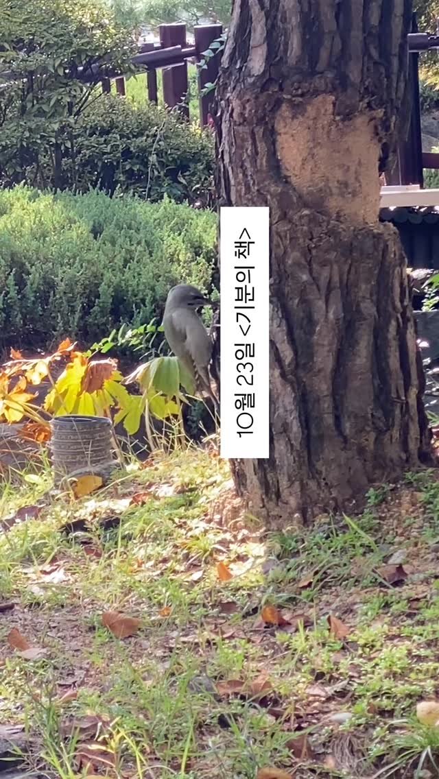 booksmood_ 게시물 이미지: 86번째 | 10월 23일 #기분의책

취향만큼 계급적인 단어가 있을까. 

책방을...