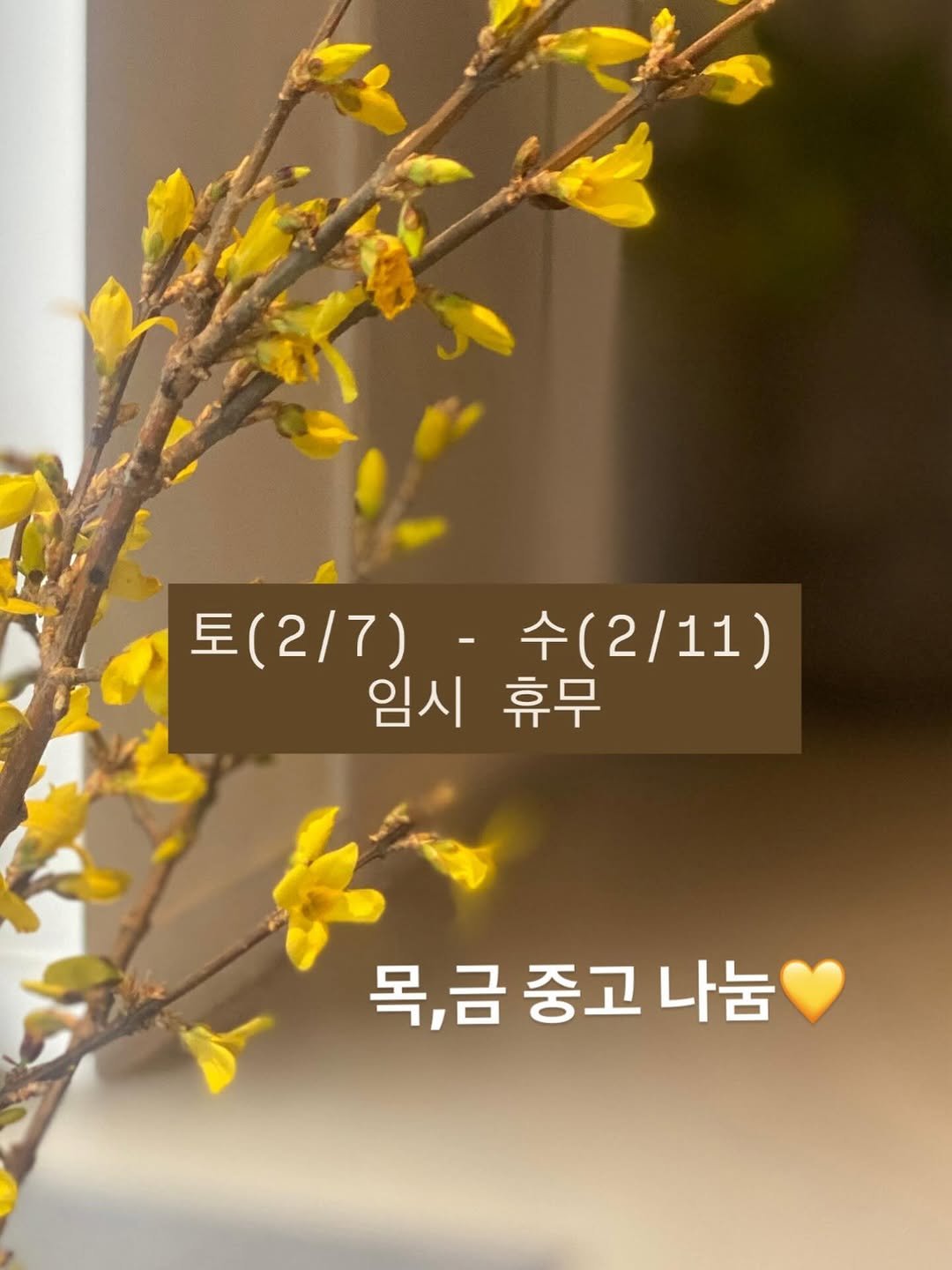 Photo by 책 의 기 분 on February 04, 2026. May be an image of yellow jessamine, baby's-breath and text that says '토(2/7) 토 토(2/7)-수(2/11) -수 수(2/11) 임시 임시 휴무 임시휴무 무 목,금중고나눔 나눔 목,금 금 중고'.