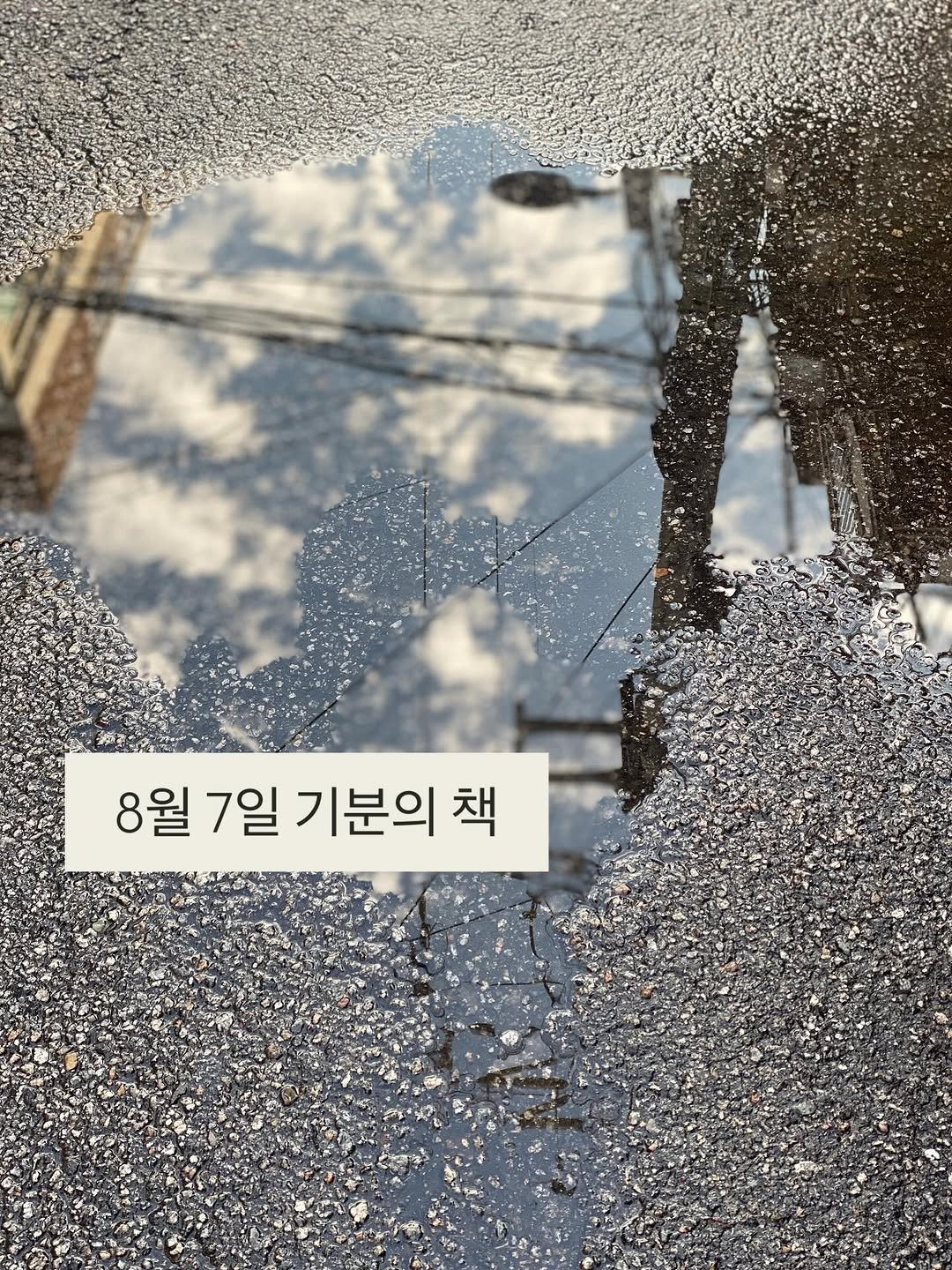 Photo by 책 의 기 분 on August 06, 2025. May be an image of telephone pole and text that says '福. 8월 7일 8월7일기분의책 기분의 기분의책 책'.
