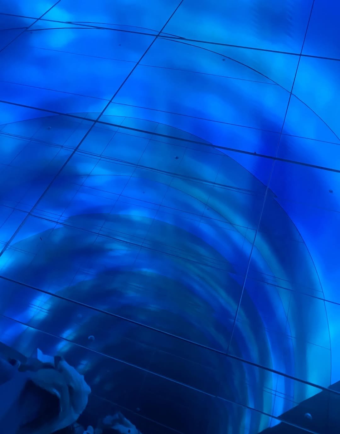 Photo by 책 의 기 분 on January 01, 2026. May be an image of radar and text.