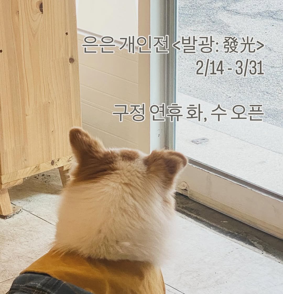 Photo shared by 책 의 기 분 on February 11, 2026 tagging @_.eeun._. May be an image of Norwich terrier, collie, Groenendael, Pekinese, Chow and text that says '은은 은은개인전 <발광: 發光> 2/14-3/31 3/31 2/14 구정 구정연휴 연휴 화, 수 수요 오픈'.