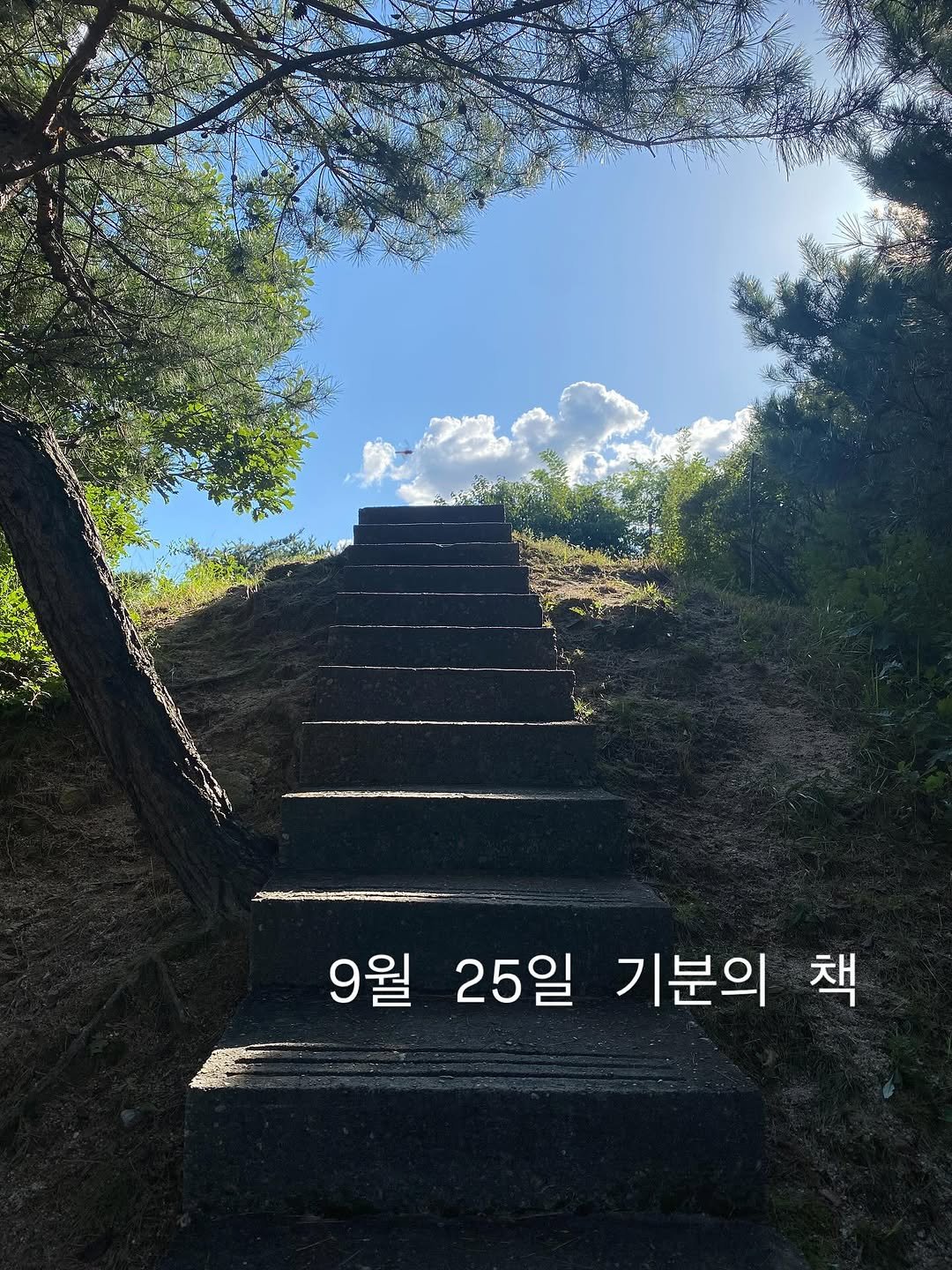 Photo by 책 의 기 분 on September 24, 2025. May be an image of ‎outdoors and ‎text that says '‎وسمد 9월 25일 기분의 책‎'‎‎.