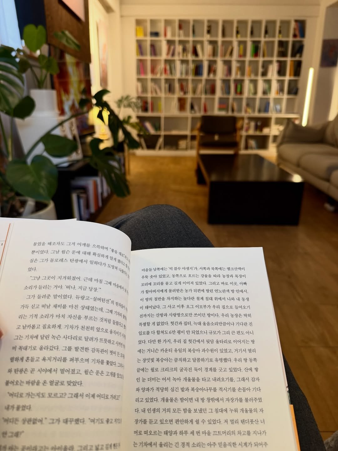 Photo by 북티크 on February 14, 2026. May be an image of studying, book and text.