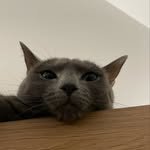 2023bbo 프로필 사진