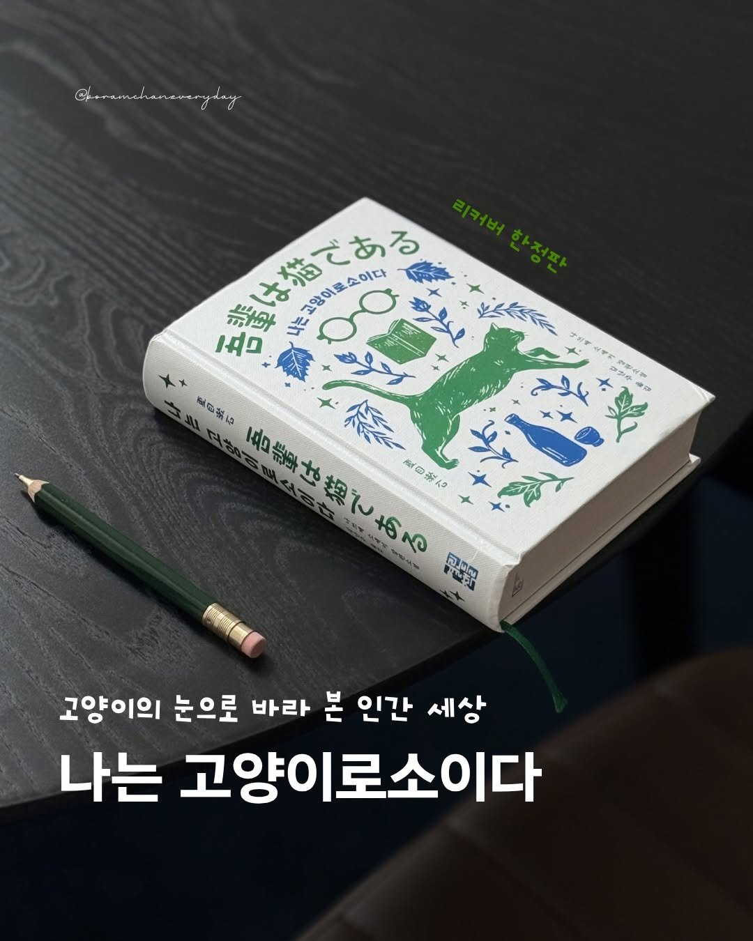 boramchan.everyday 게시물 이미지: AD
#나는고양이로소이다

🐈
고양이의 눈으로 바라본 인간 세상.

이 책의...