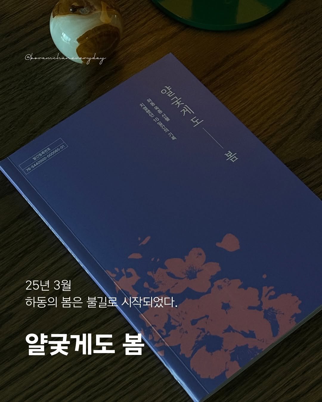 Photo shared by 보일러ㅣ보람찬일상러ㅣ책ㅣ필사 on November 09, 2025 tagging @hadonggun_official, and @ssy._.book. May be an image of book, baby's-breath and text.