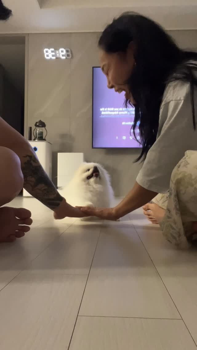 born2fit_natural 게시물 이미지: 🐾🤍🏠🩵👩‍❤️‍👨
#dog #dogchallenge
#dogs #dogshorts #funny