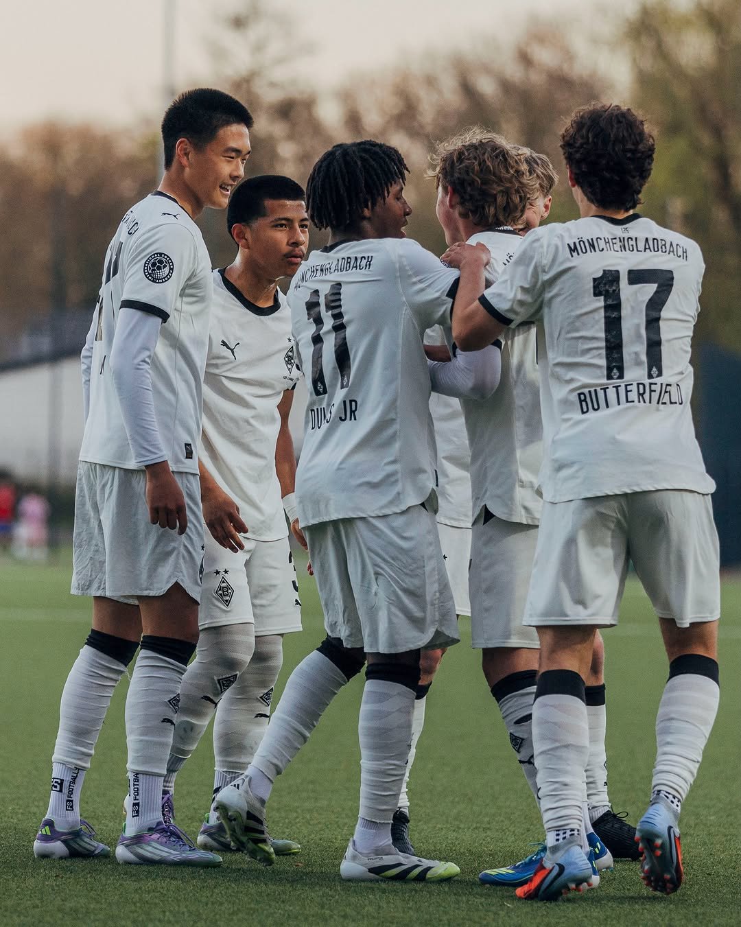 borussia 게시물 이미지: First year done ✅

#FohlenStall