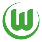 vfl.wolfsburg 프로필 사진