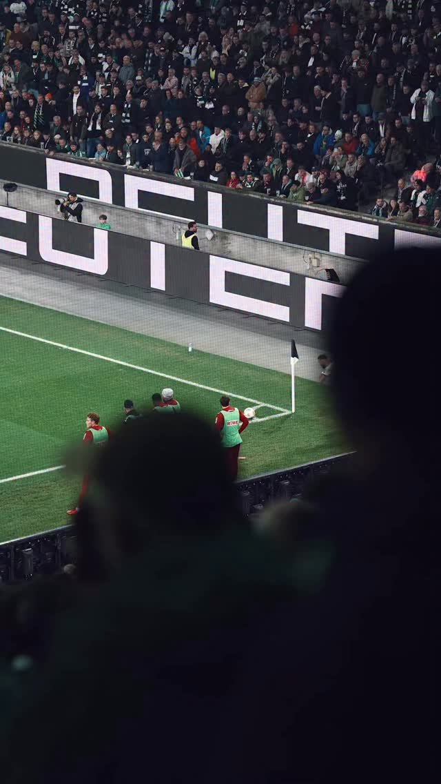 borussia 게시물 이미지: Derbytor zum Geburtstag 🤝💚

#dieFohlen