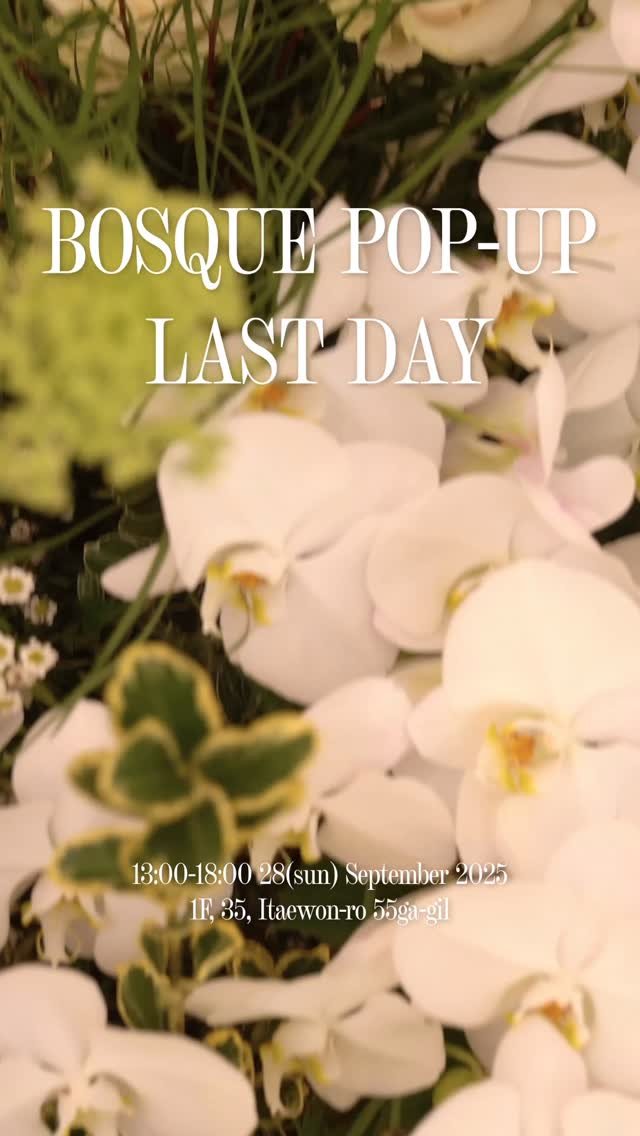 bosque__jewelry 게시물 이미지: 📍BOSQUE POP-UP STORE 

9월 26일(금) – 28일(일), 3일간...