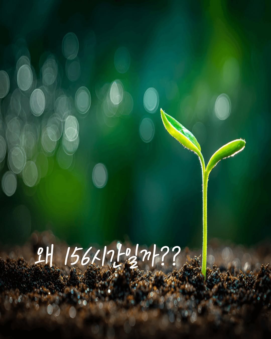 bosunghuman 게시물 이미지: 빠르게 만들지 않은 이유,
자생시리즈 안에 있습니다.

낮은 온도에서 천천히 추출...