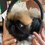 bethemagicchef 프로필 사진