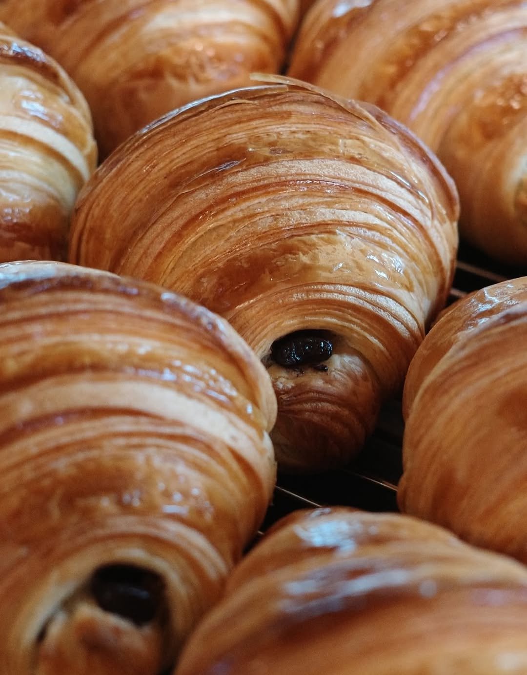 Photo by 영월 블랑제리상떼 (여성기업) on October 06, 2025. May be an image of croissant and buns.