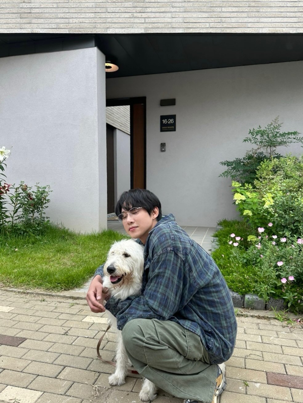 Photo by 박스아범 박성훈 on March 15, 2026. May be an image of Bedlington terrier, Norwich terrier, outdoors and text.