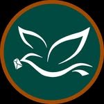 fomo_foundation 프로필 사진