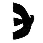 keunsae__ 프로필 사진