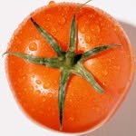 gguldomado 프로필 사진