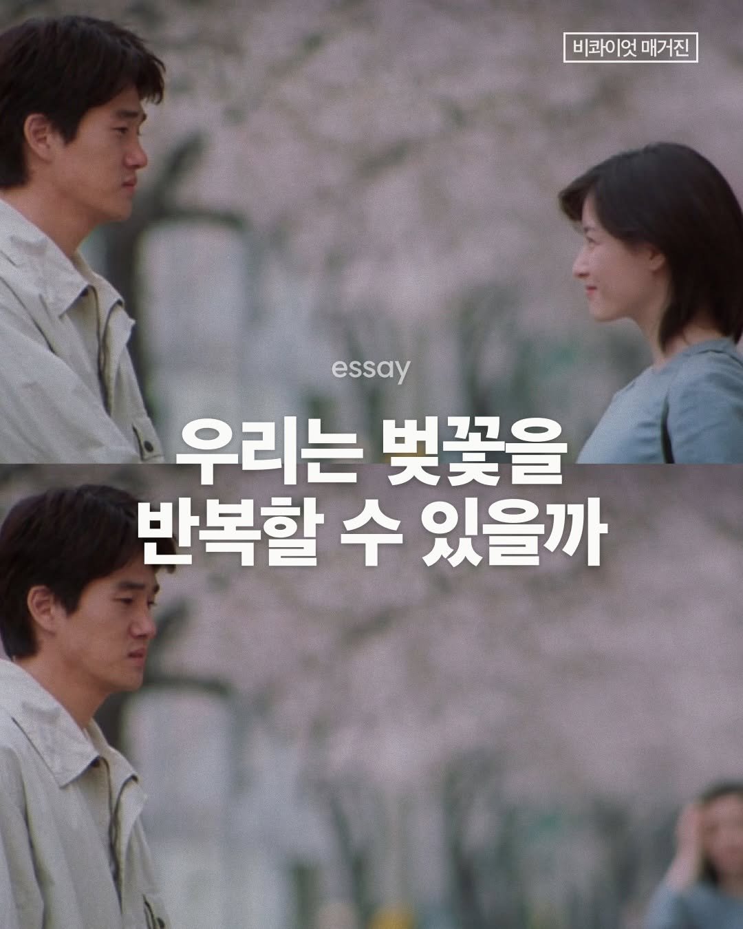 bq.mag 게시물 이미지: 우리가 오늘 걸었던 이 길을 내년에도 같이 걸을 수 있을까.

글
하지환｜우리는...