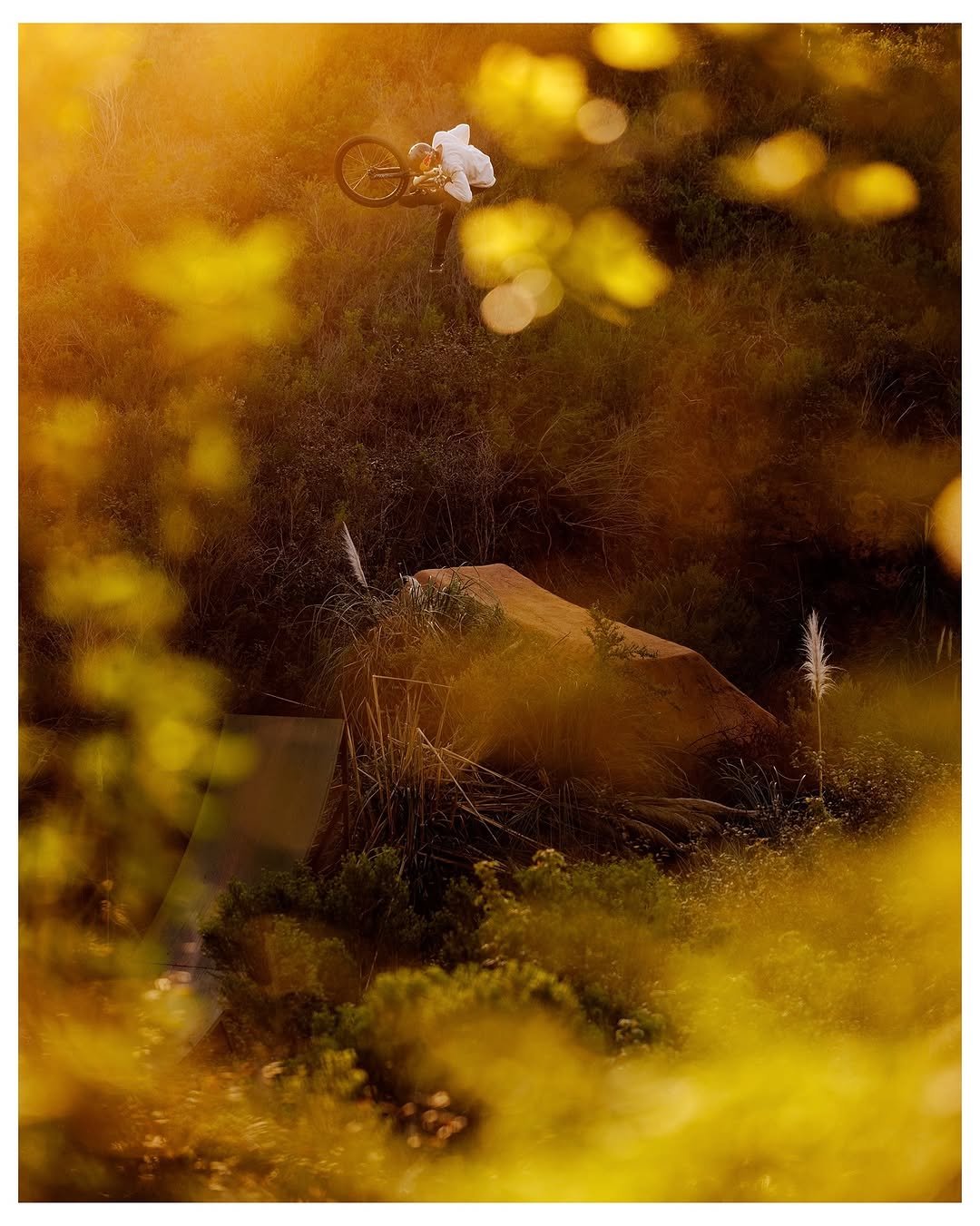 Photo shared by Brandon Semenuk on January 16, 2026 tagging @tobycowley. May be an image of bicycle, outdoors and text.