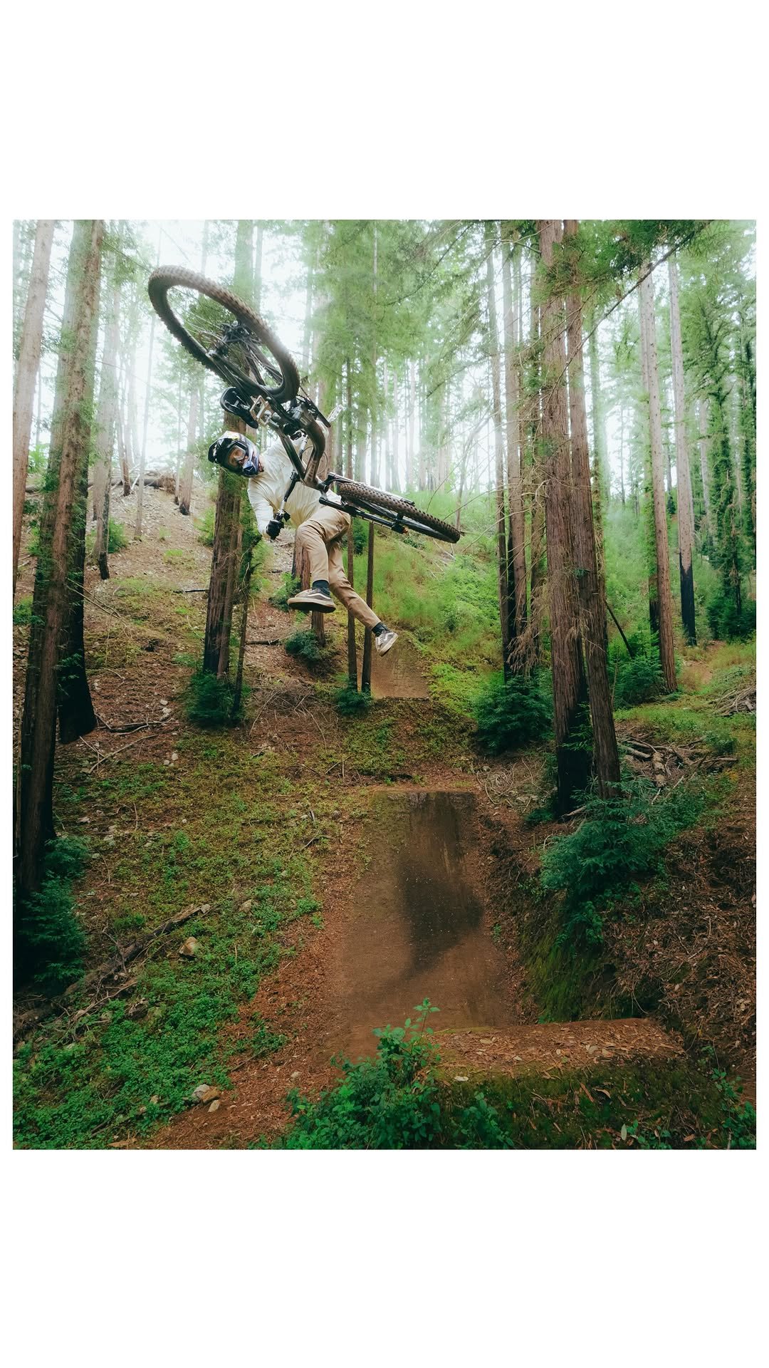 brandonsemenuk 게시물 이미지: ⚡️ @tld_bike Spring Collection ⚡️ Been...