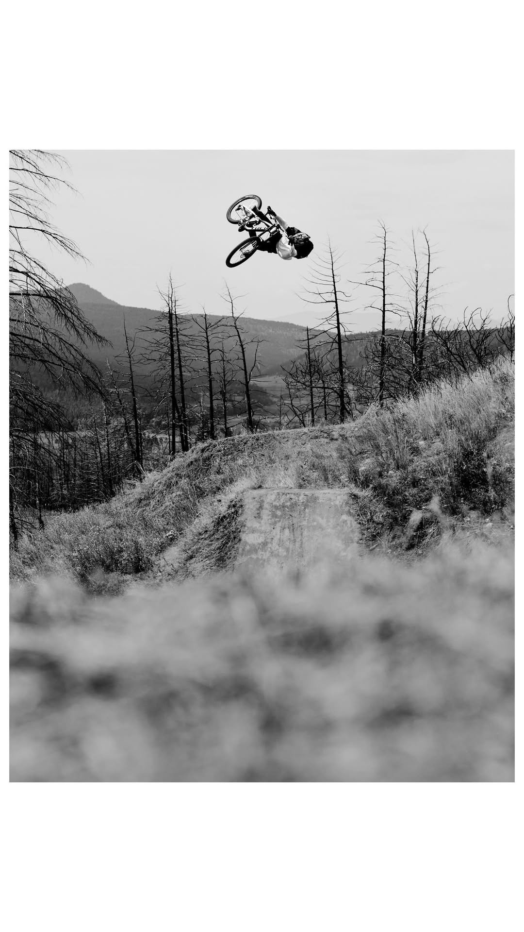 brandonsemenuk 게시물 이미지: Kicking back in the sun ☀️/ SH!T LIGHT link in...