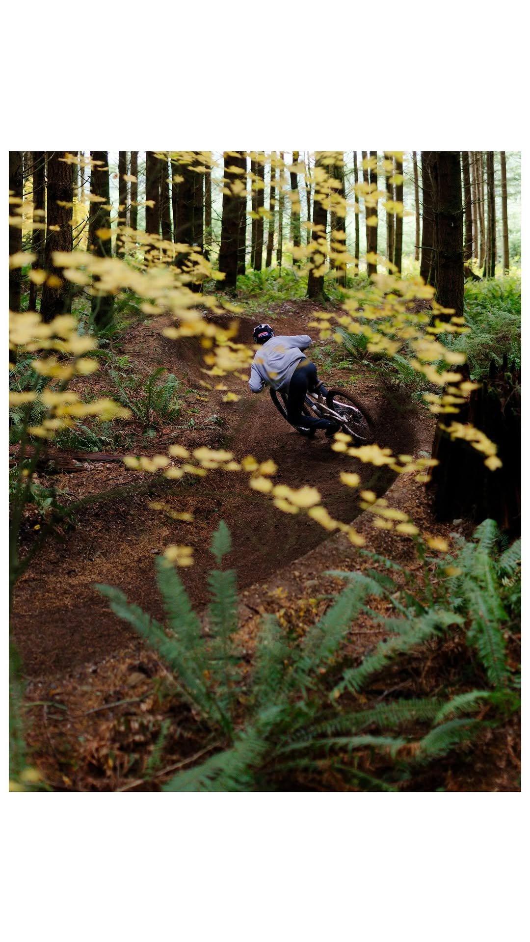 brandonsemenuk 게시물 이미지: Deep Tracks. // 🎥 @isaacwallenn