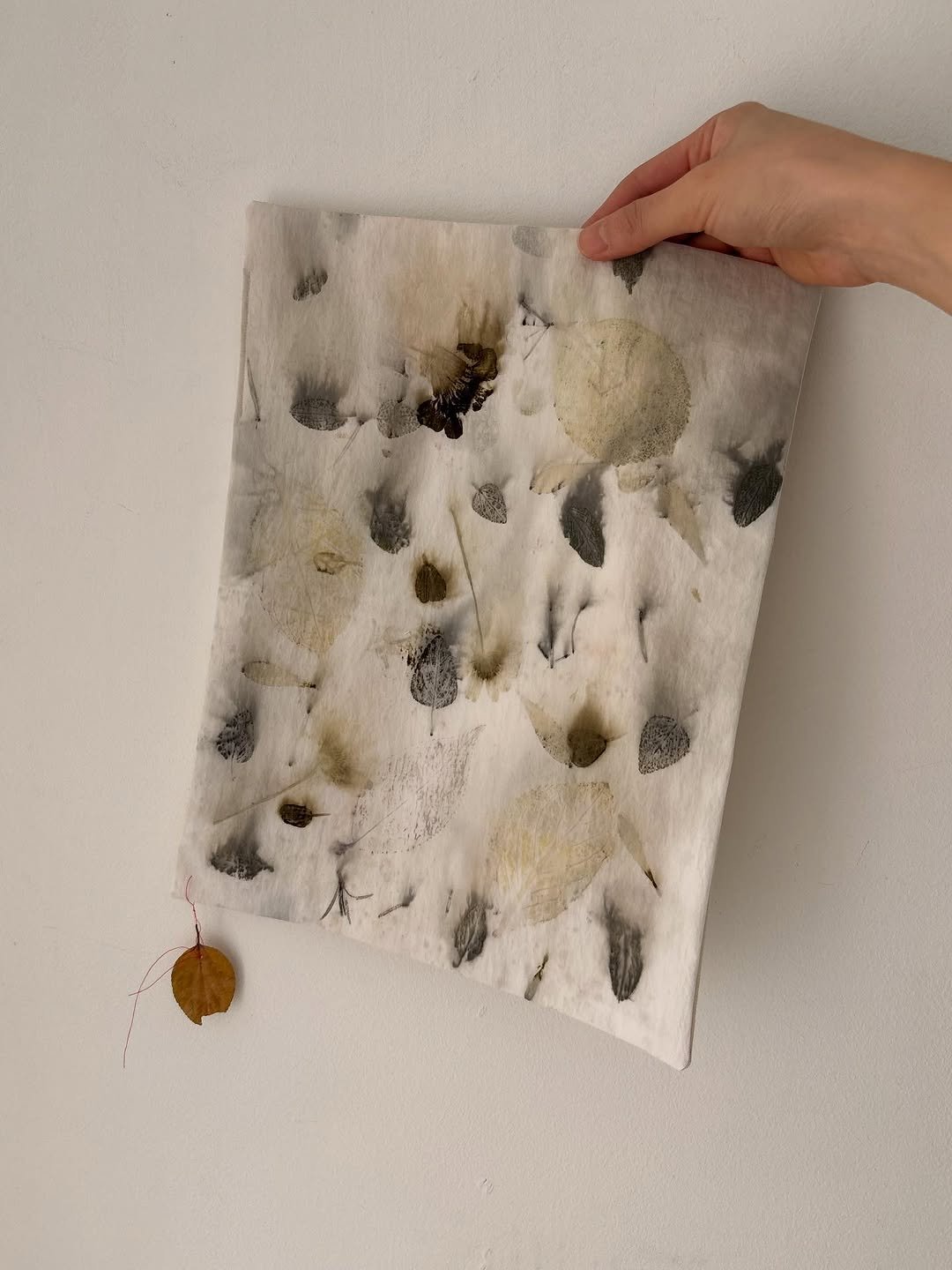 Photo by 브리즈 아카이브 on December 01, 2025. May be an image of paper towel and napkin.