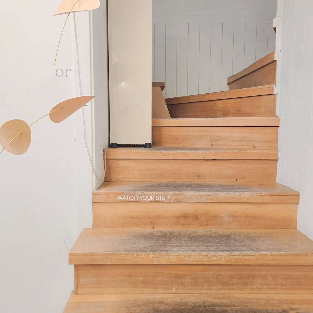 Photo by 루나 on September 14, 2025.