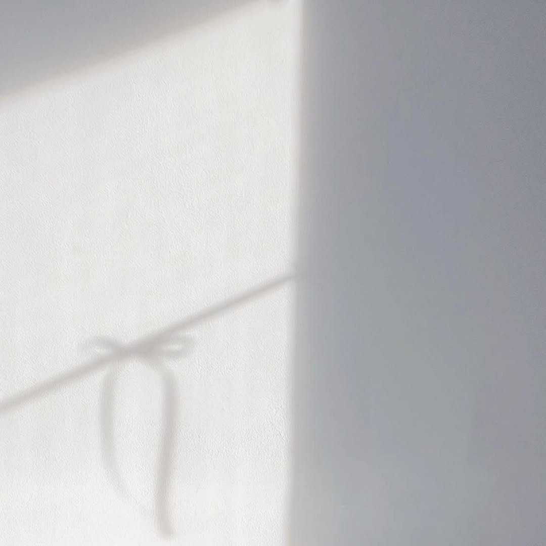 Photo by 루나 on July 13, 2025. May be an image of curtains, house plant, mistletoe cactus and text.